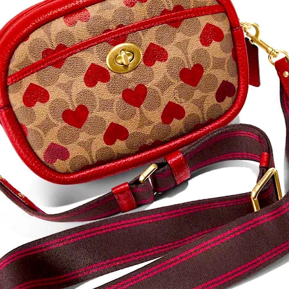 Coach Hearts Camera Bag Detachable Strap